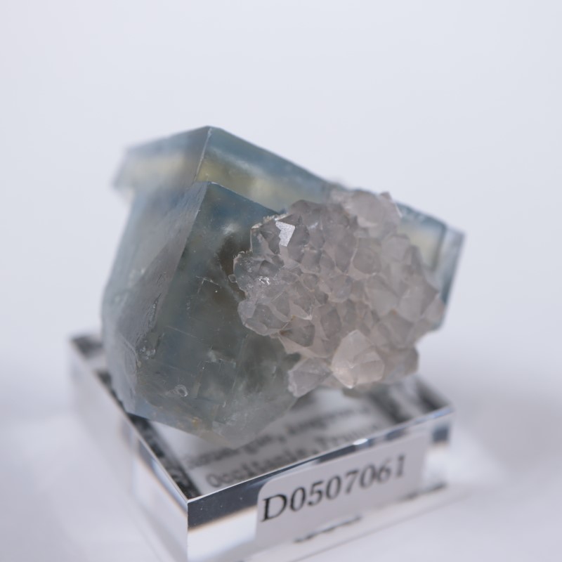 Valzergues�����ե����饤�ȡ��徽