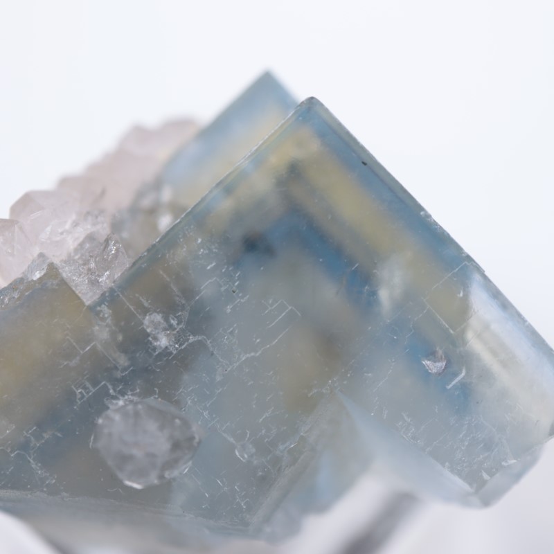 Valzergues�����ե����饤�ȡ��徽