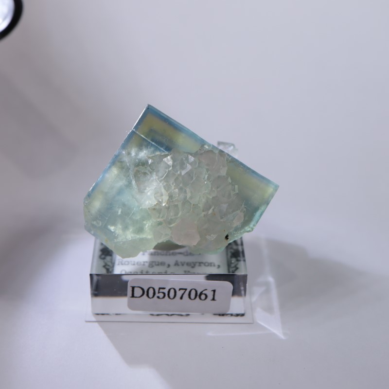 Valzergues�����ե����饤�ȡ��徽