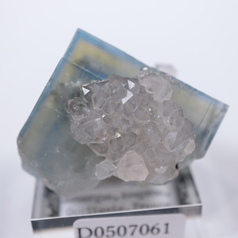 Valzergues�����ե����饤�ȡ��徽