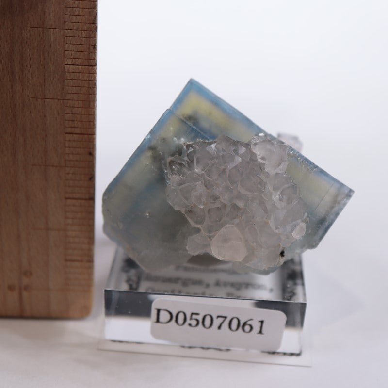 Valzergues�����ե����饤�ȡ��徽