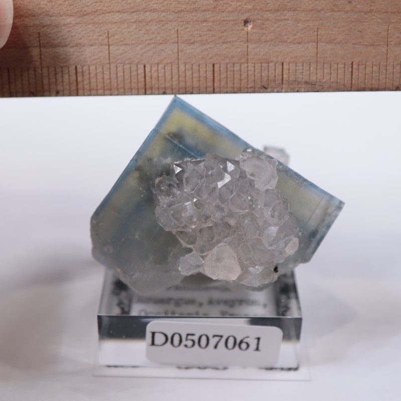 Valzergues�����ե����饤�ȡ��徽