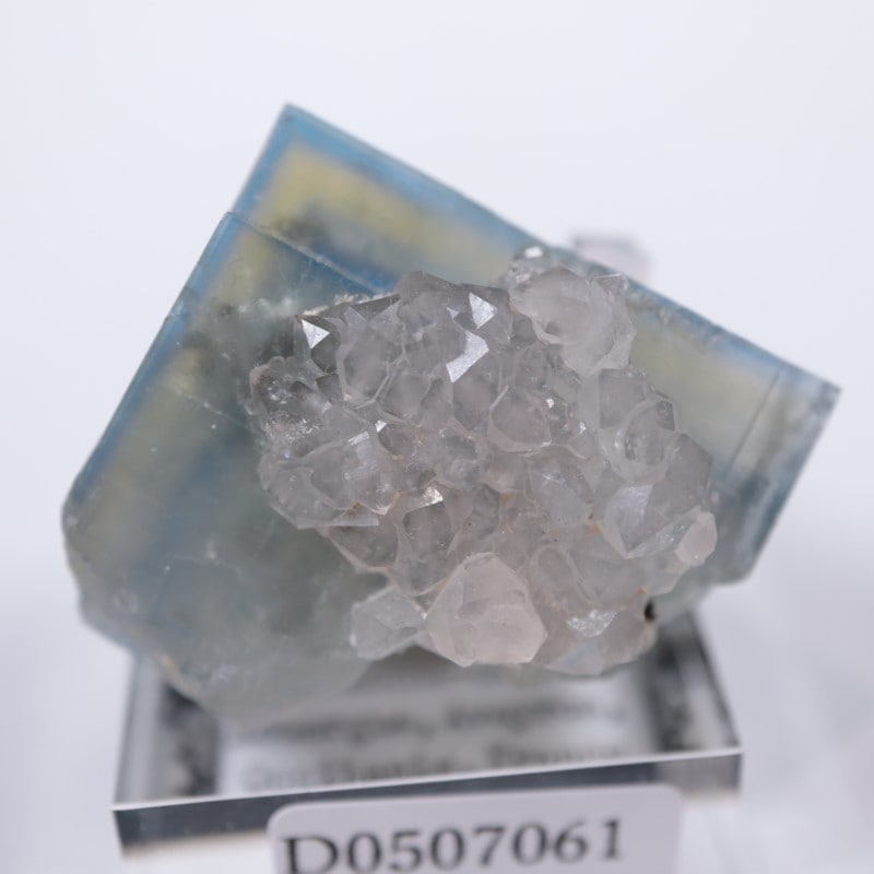 Valzergues�����ե����饤�ȡ��徽