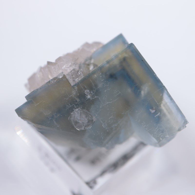 Valzergues�����ե����饤�ȡ��徽