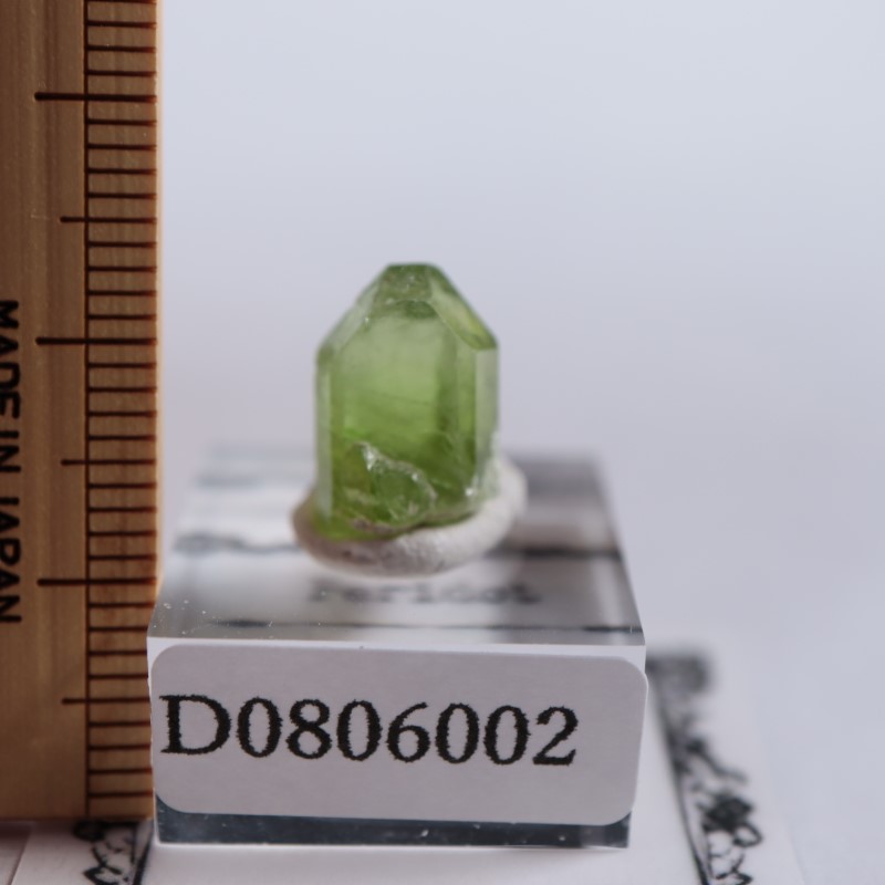 �ѥ������󻺡��ڥ�ɥå�