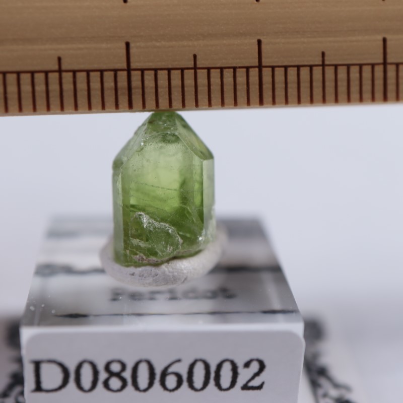 �ѥ������󻺡��ڥ�ɥå�