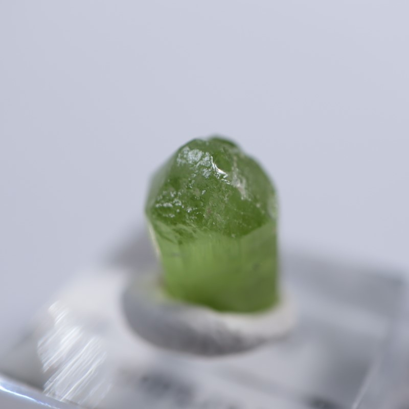 �ѥ������󻺡��ڥ�ɥå�