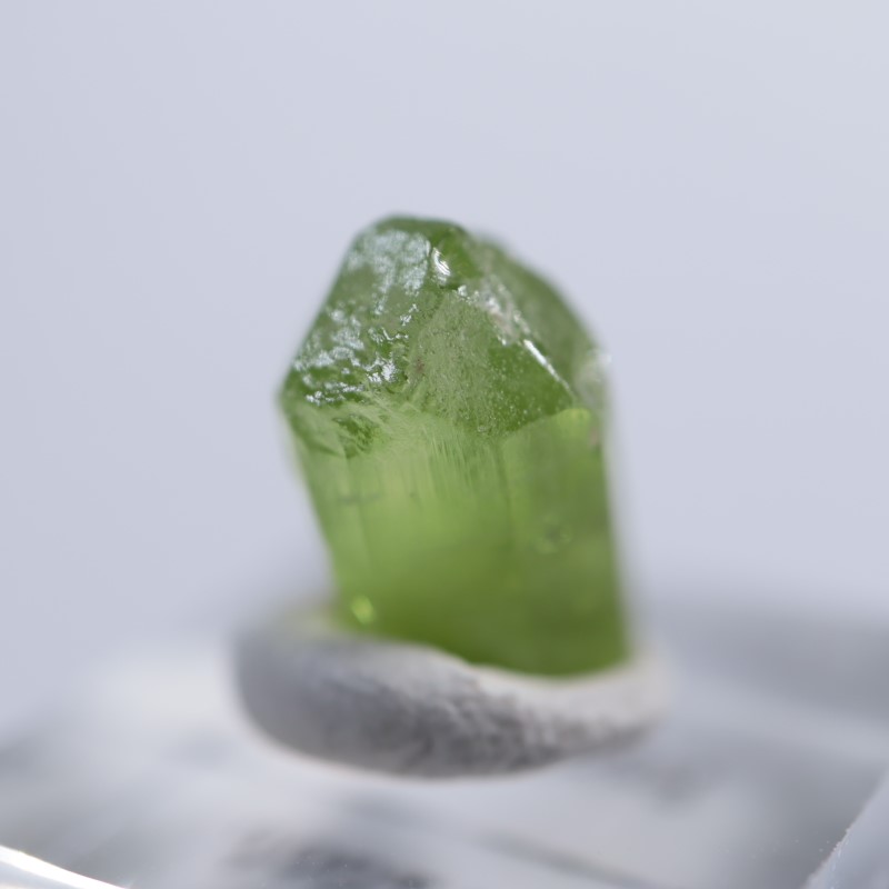 �ѥ������󻺡��ڥ�ɥå�