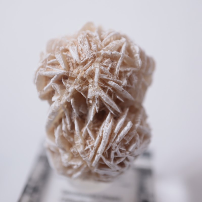 �ǥ����ȥ������ʺ������鯡�