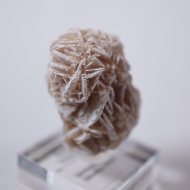 �ǥ����ȥ������ʺ������鯡�