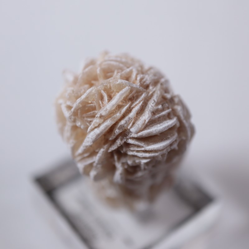 �ǥ����ȥ������ʺ������鯡�