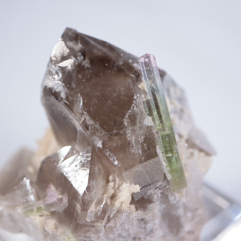 鉱物標　トルマリン　Tourmaline パプロックア　フガニスタン 破格値下げ】 クォーツ【Tourmaline / トルマリン in MINERALS