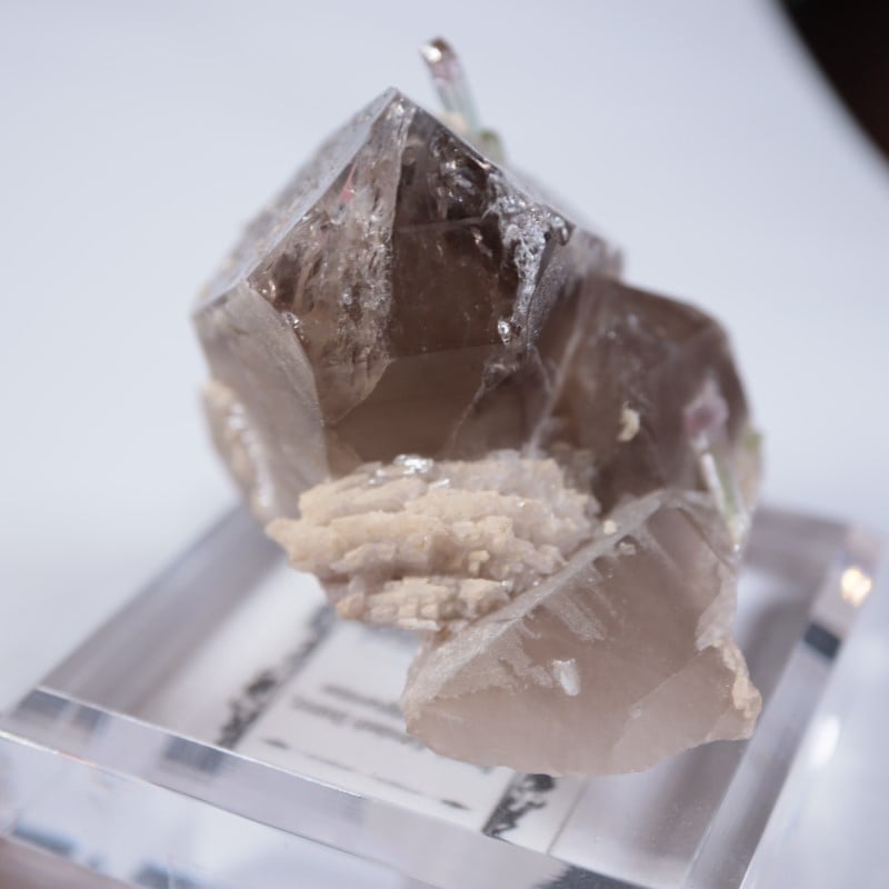 Paprok�����ȥ�ޥ�󡢱�徽