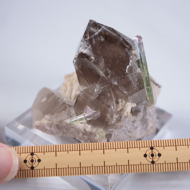 Paprok�����ȥ�ޥ�󡢱�徽