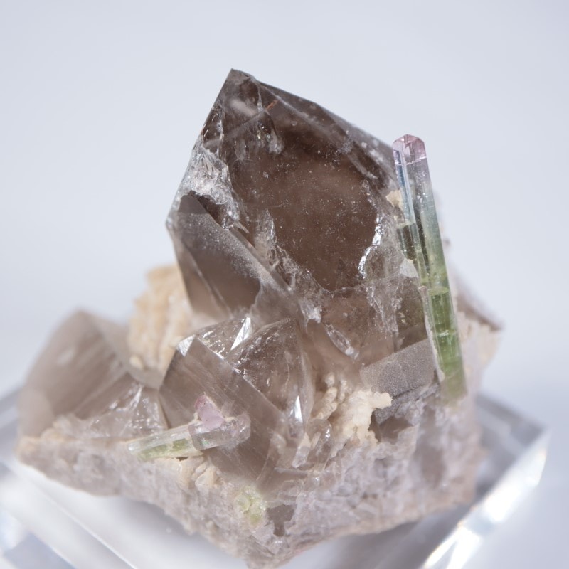 Paprok�����ȥ�ޥ�󡢱�徽