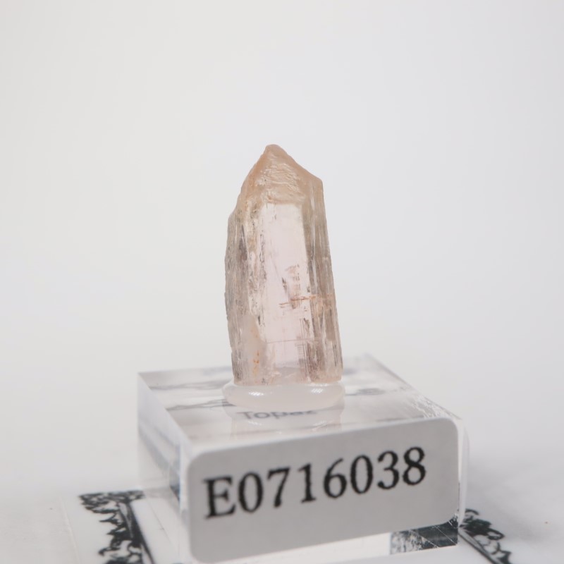 Katlang��  �ԥ󥯥ȥѡ���