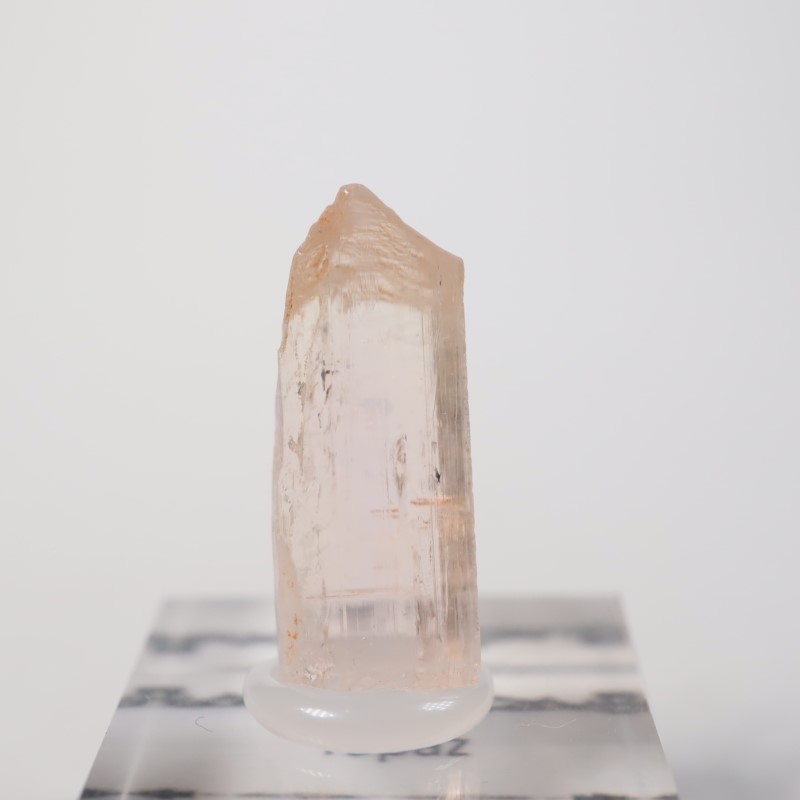 Katlang��  �ԥ󥯥ȥѡ���