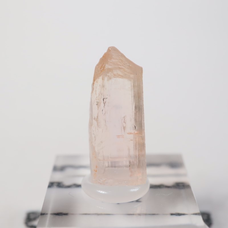 Katlang��  �ԥ󥯥ȥѡ���