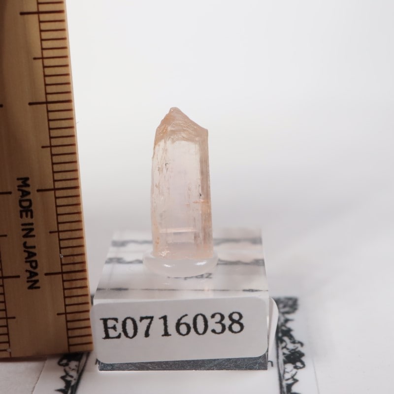 Katlang��  �ԥ󥯥ȥѡ���