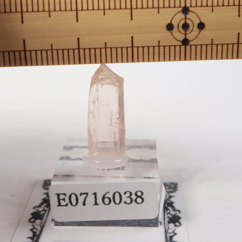 Katlang��  �ԥ󥯥ȥѡ���