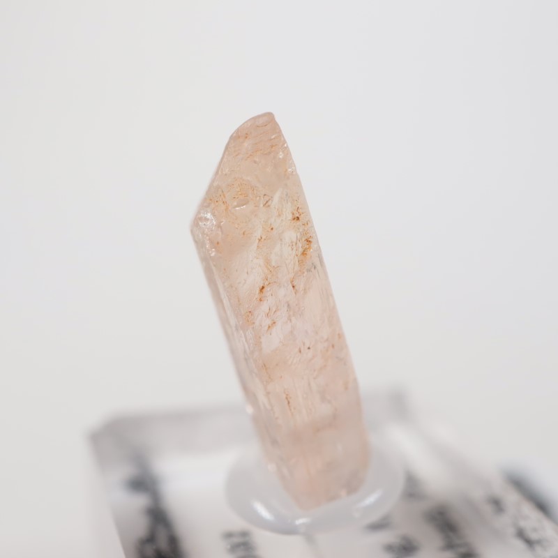 Katlang��  �ԥ󥯥ȥѡ���