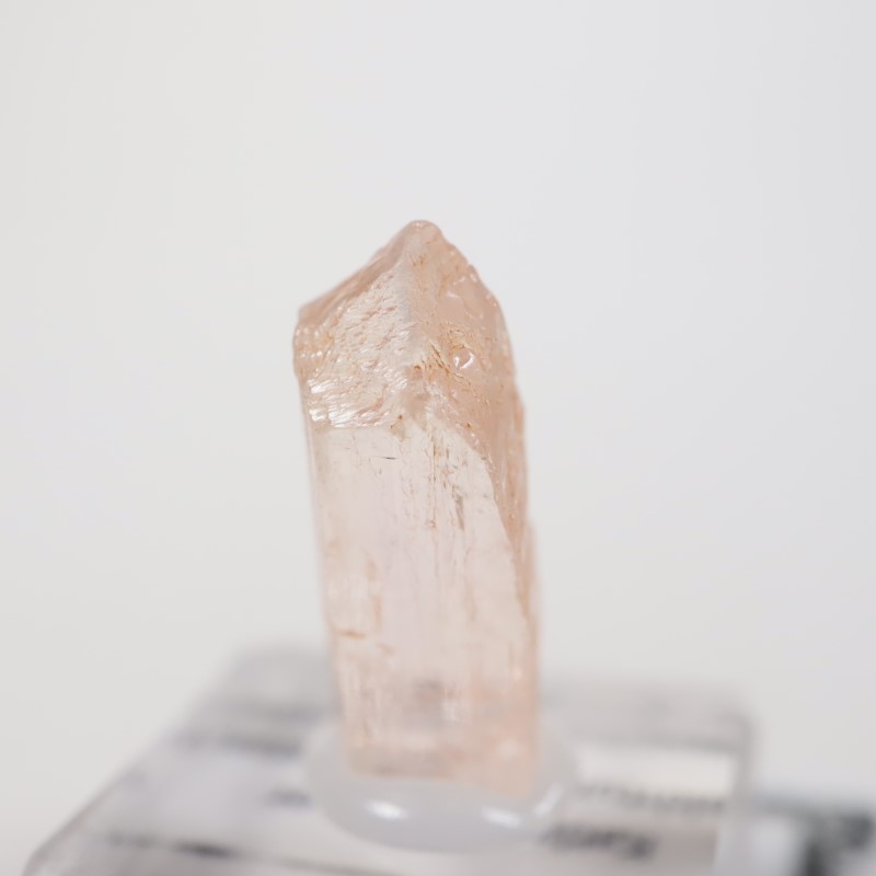 Katlang��  �ԥ󥯥ȥѡ���