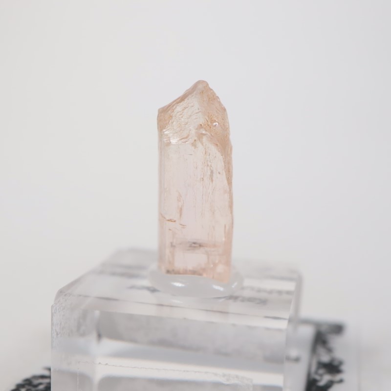 Katlang��  �ԥ󥯥ȥѡ���