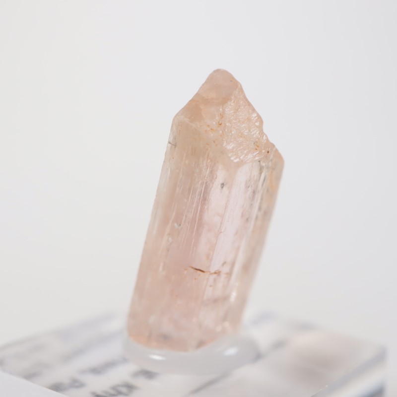 Katlang��  �ԥ󥯥ȥѡ���