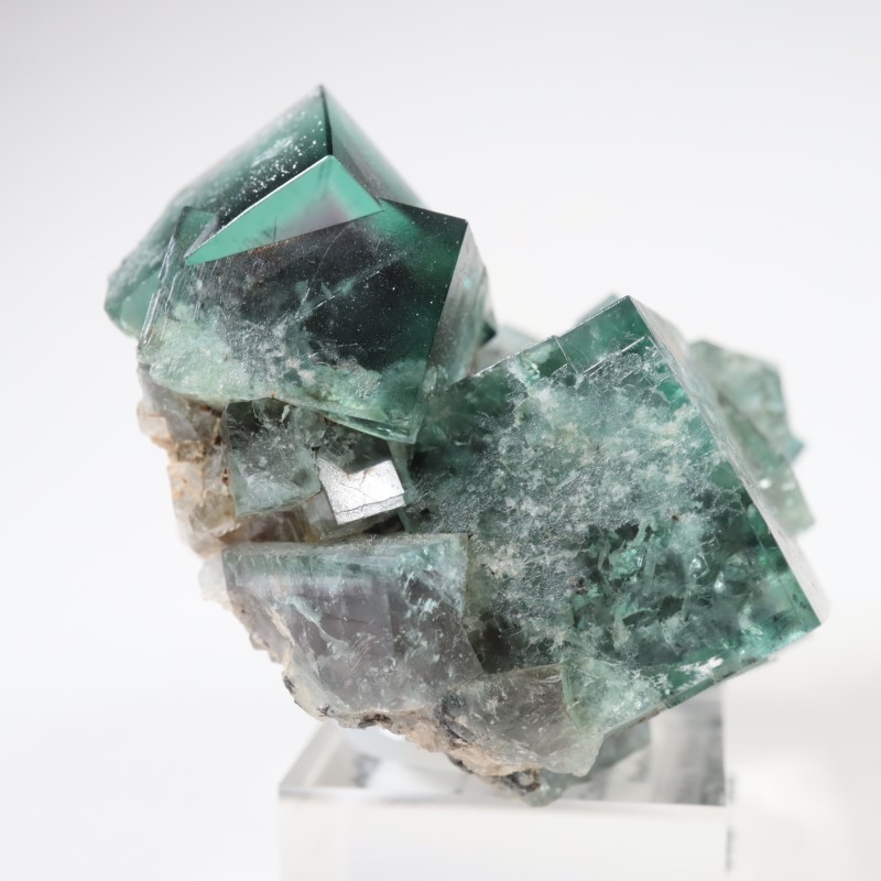 �����ꥹ�� �ե����饤��