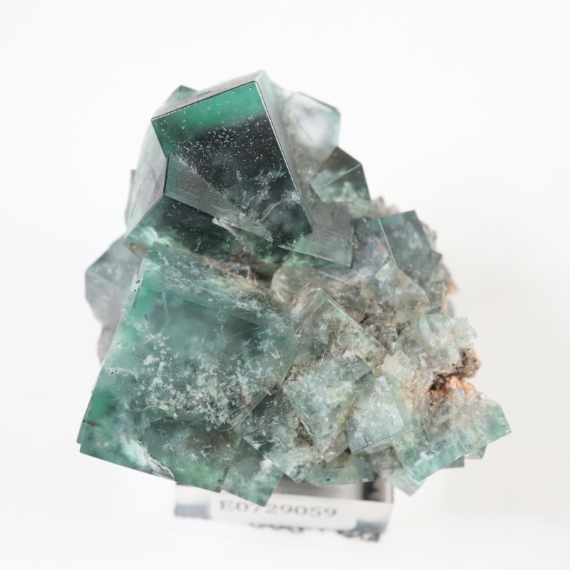 �����ꥹ�� �ե����饤��