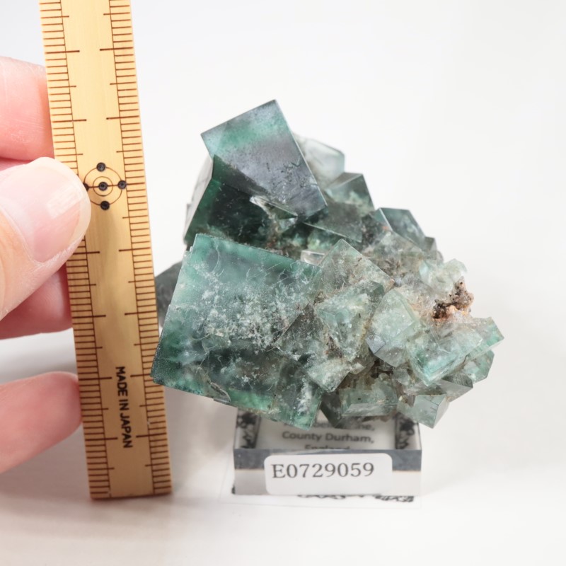 �����ꥹ�� �ե����饤��