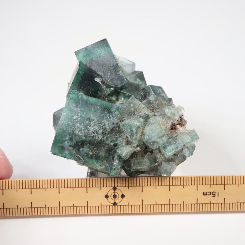 �����ꥹ�� �ե����饤��