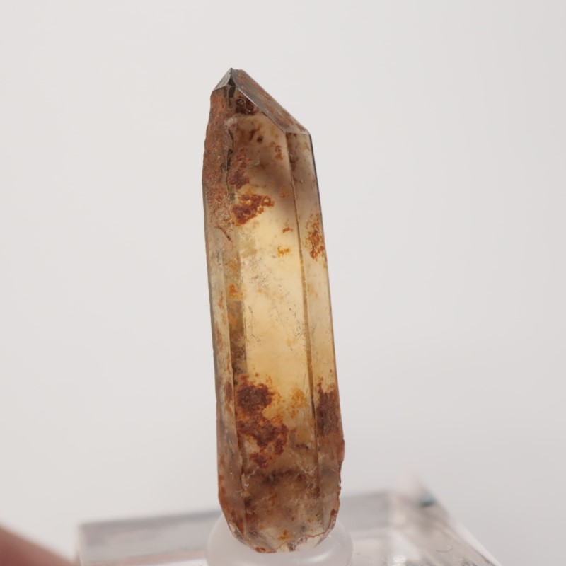 �ʥ������ꥢ�� ��������