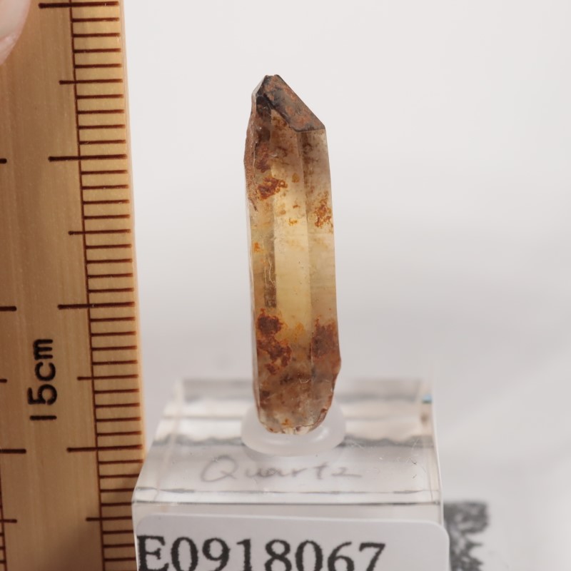 �ʥ������ꥢ�� ��������