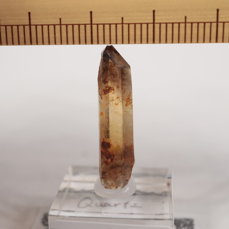 �ʥ������ꥢ�� ��������