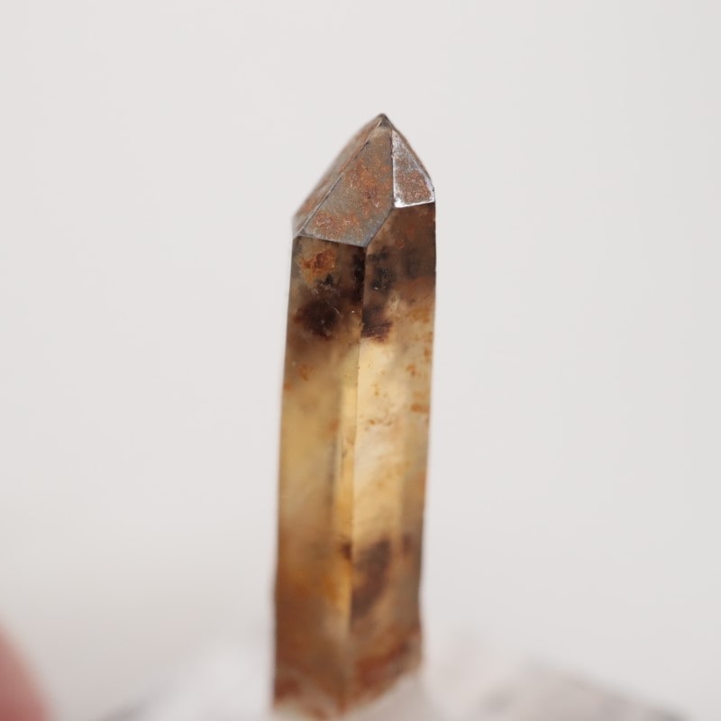 �ʥ������ꥢ�� ��������