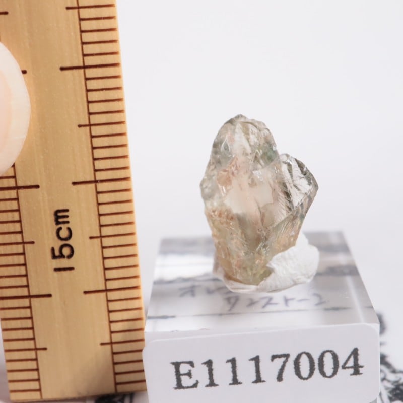 ���쥴�󽣻� ���쥴�󥵥󥹥ȡ���