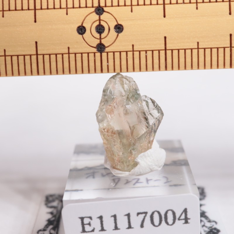 ���쥴�󽣻� ���쥴�󥵥󥹥ȡ���