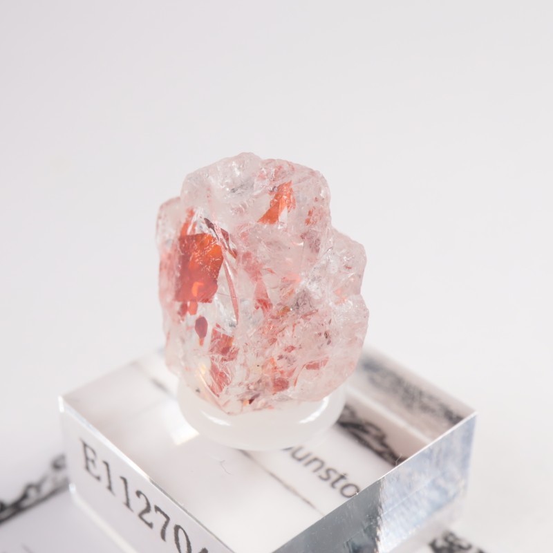 ���󥶥˥��� ����塼����󡦥��󥹥ȡ���