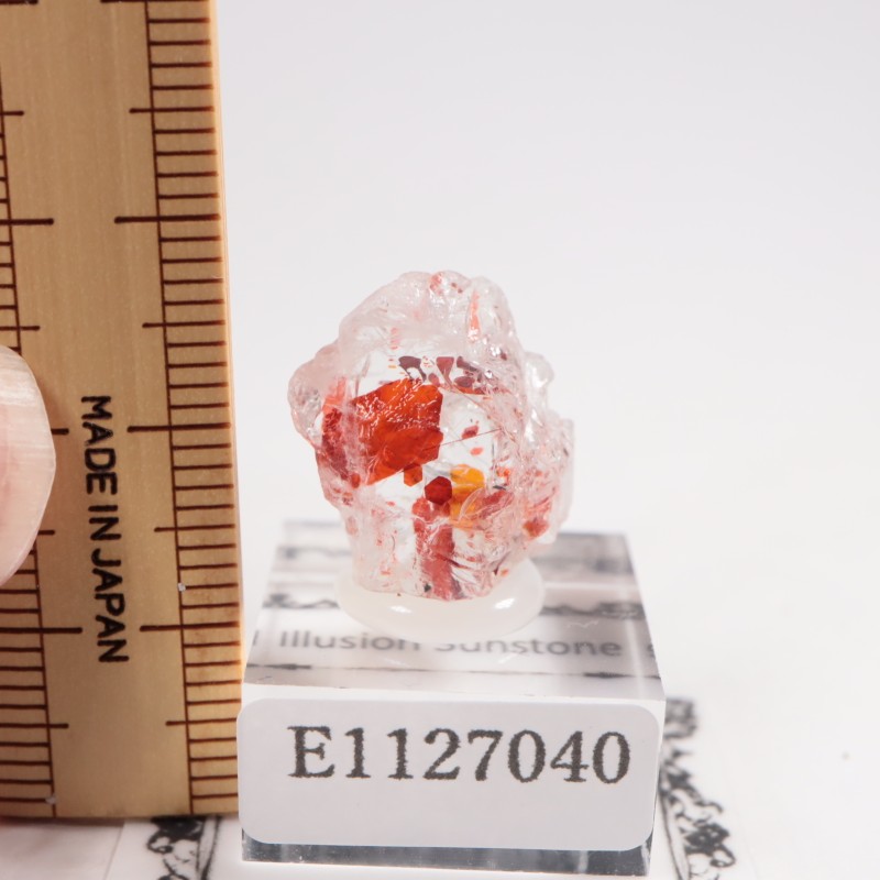 ���󥶥˥��� ����塼����󡦥��󥹥ȡ���