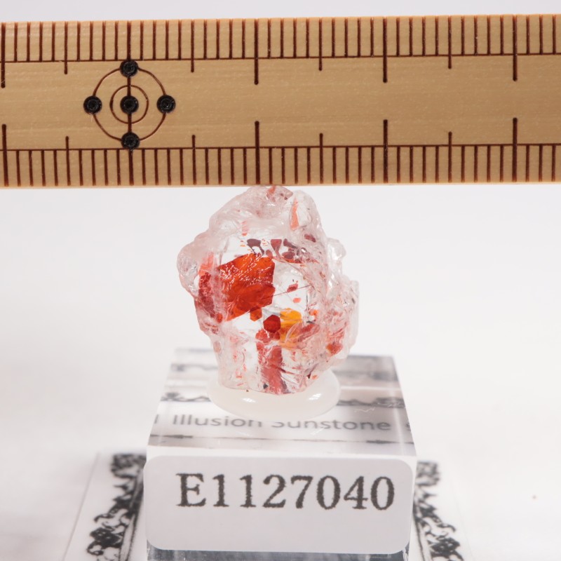 ���󥶥˥��� ����塼����󡦥��󥹥ȡ���