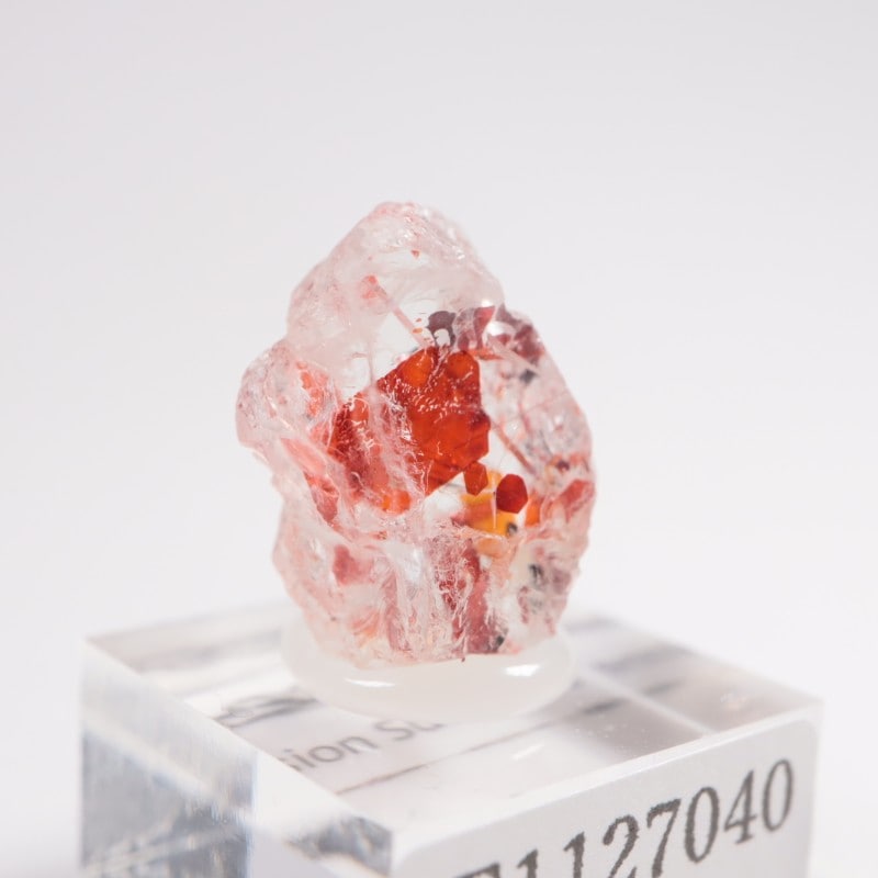 ���󥶥˥��� ����塼����󡦥��󥹥ȡ���