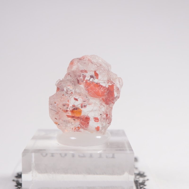 ���󥶥˥��� ����塼����󡦥��󥹥ȡ���