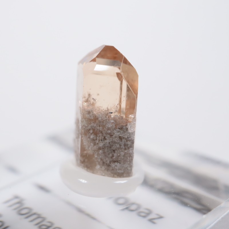 �楿�������ȥѡ���