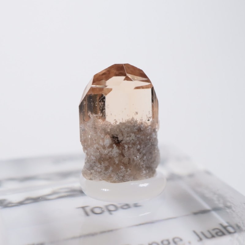 �楿�������ȥѡ���