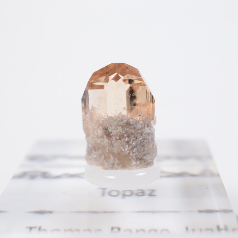 �楿�������ȥѡ���