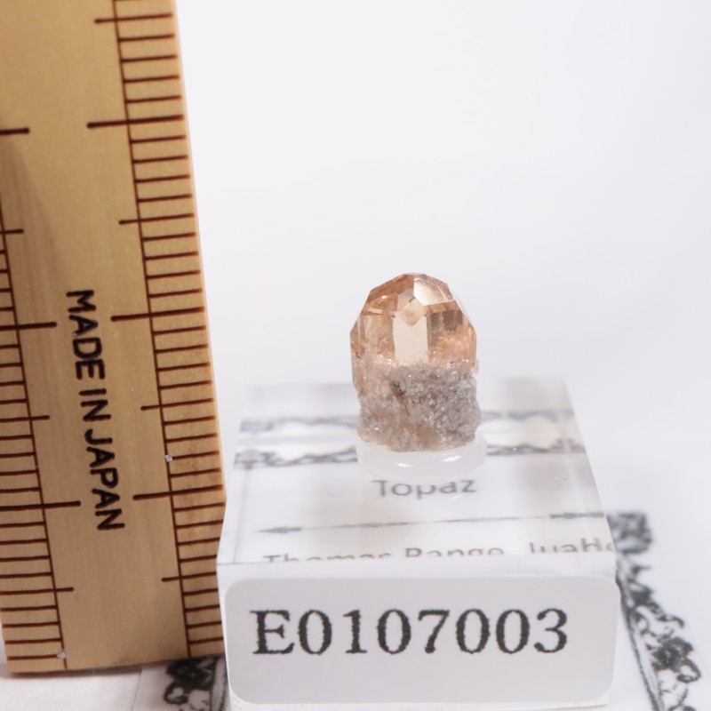 �楿�������ȥѡ���