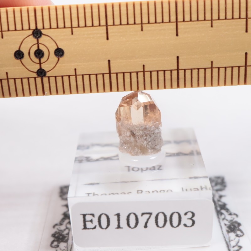 �楿�������ȥѡ���