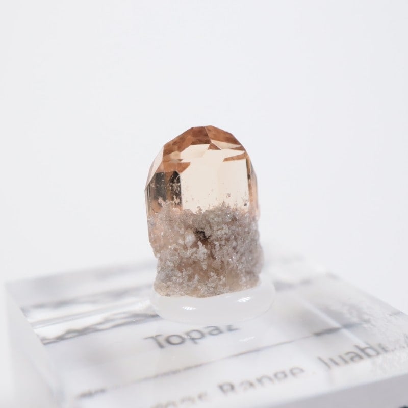 �楿�������ȥѡ���