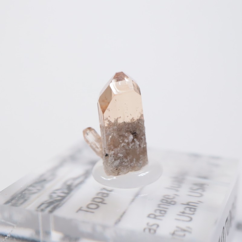 �楿�������ȥѡ���